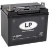 Accu Lp U1 250 Mf / Lp U1 250 Ca/Ca Smf (Enkel Op Bestelling) - AE-trading