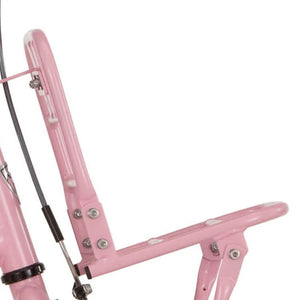 Alpina voordrager 18 Cargo light pink matt - AE-trading