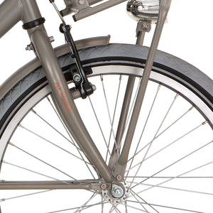 Alpina voorvork 22 Cargo M vintage gold met matt - AE-trading