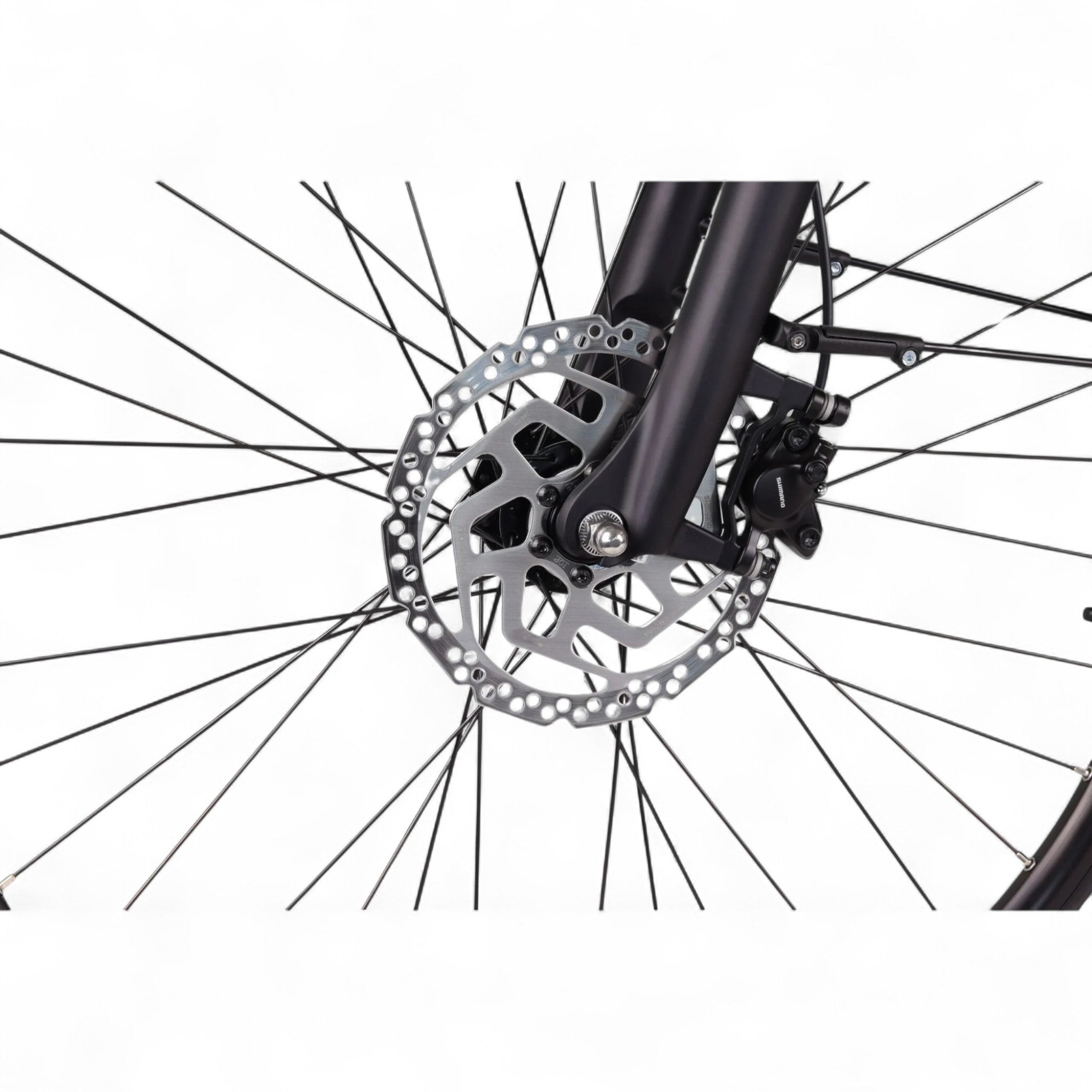 Altec Adventure - Elektrische Fiets - Mat Zwart - 28 inch - Accu 733Wh (19.8Ah) - 250W (80Nm) Ananda Middenmotor - Shimano Nexus 7 Versnellingen - Hydraulische Remmen - AE-trading