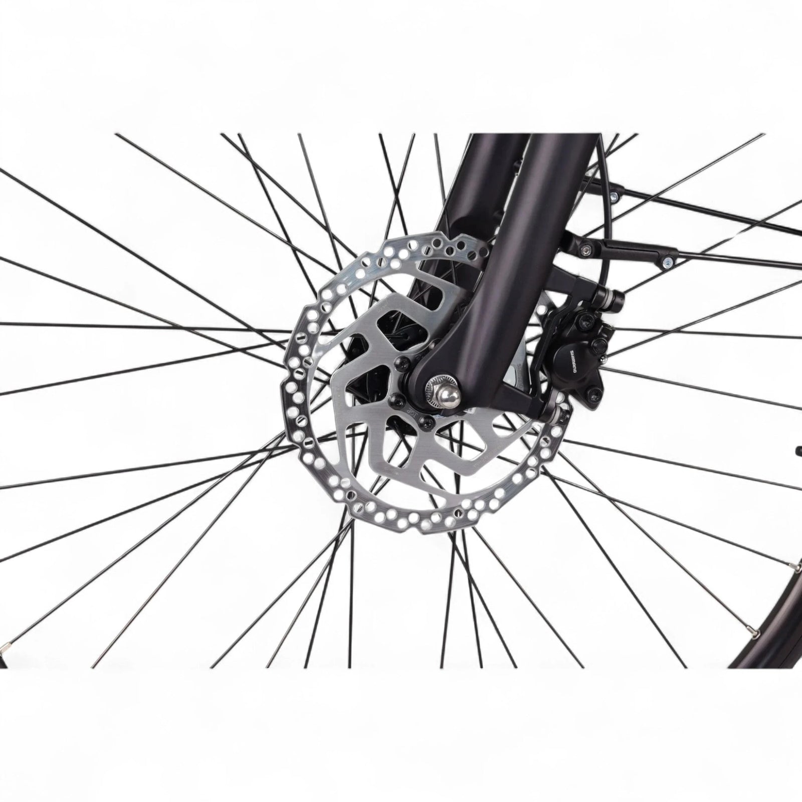 Altec Adventure - Elektrische Fiets - Mat Zwart - 28 inch - Accu 733Wh (19.8Ah) - 250W (100Nm) Ananda Middenmotor - Shimano Nexus 7 Versnellingen - Hydraulische Remmen - AE-trading