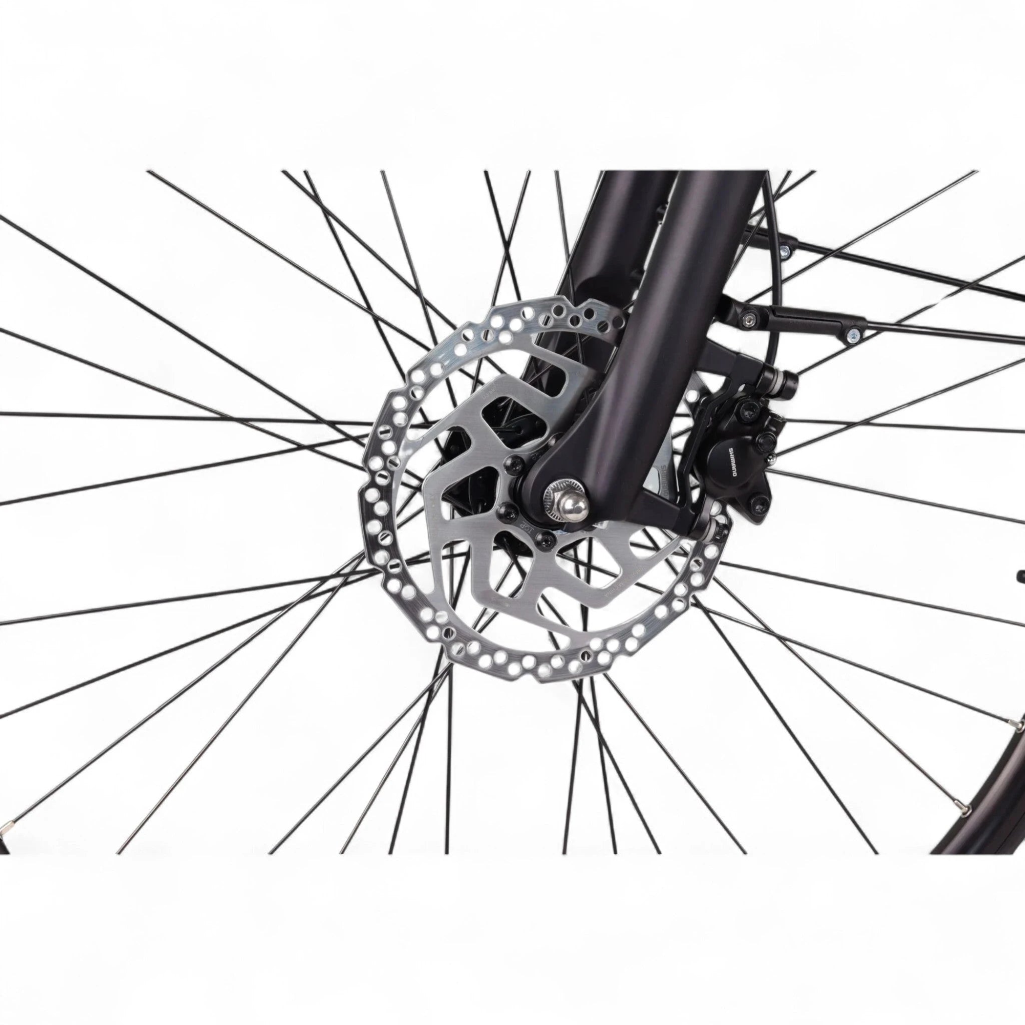 Altec Adventure - Elektrische Fiets - Mat Zwart - 28 inch - Accu 733Wh (19.8Ah) - 250W (100Nm) Ananda Middenmotor - Shimano Nexus 7 Versnellingen - Hydraulische Remmen - AE-trading