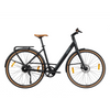 Altec Dance - Black - 480Wh - Elektrische E-Bike - AE-trading