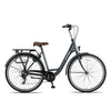 Altec Metro 28 Inch - Smoke Grey - 52cm - Damesfiets - AE-trading