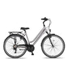 Altec Ventura Trekking V-Brakes - Fume Black - Damesfiets - AE-trading