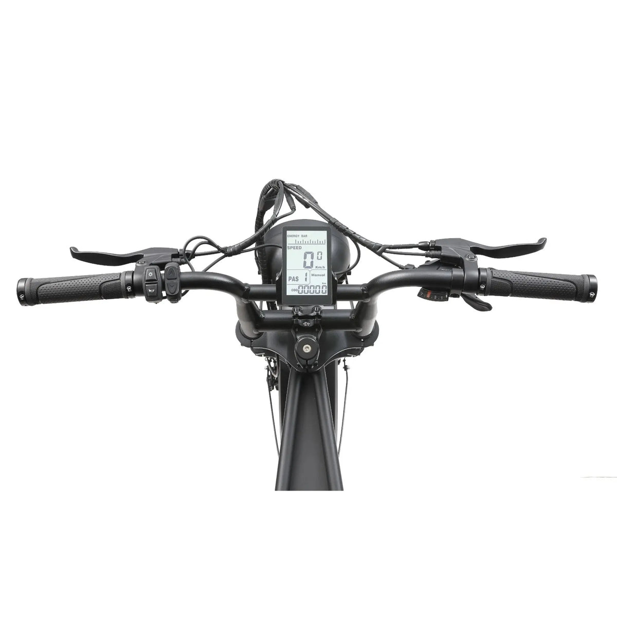 Ape Ryder A10 Pro Fatbike – Zwart - AE-trading