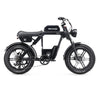 Ape Ryder Baboon Fatbike – Mat Zwart - AE-trading
