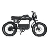 Ape Ryder Gibbon - Fatbike - Mat Zwart - 20x4.5 inch - Accu 960Wh (48V, 20Ah) - 250W Achterwielmotor - Hydraulische Remmen - AE-trading