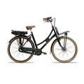 Avalon E-Cargo N7 - Mat Zwart - 50cm - 12Ah Accu - AE-trading