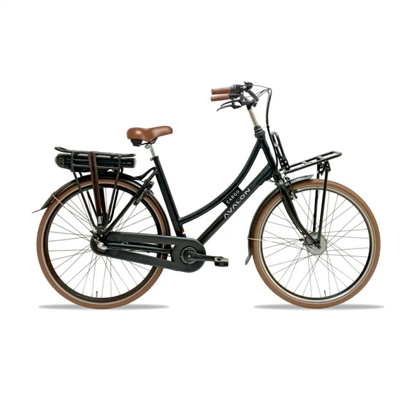 Avalon E-Cargo N7 - Mat Zwart - 50cm - 12Ah Accu - AE-trading
