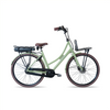 Avalon E-Cargo N7 (2026 Model) - Pale Green - 56cm - 15Ah Accu - AE-trading