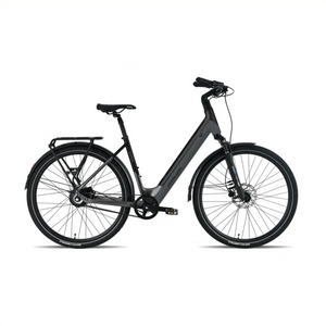 Avalon E-Flow - Antraciet/Zwart - 54cm - AE-trading