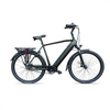 Avalon E-Pro Premium - Mosgroen/Zwart - 58cm - 15Ah Accu - AE-trading