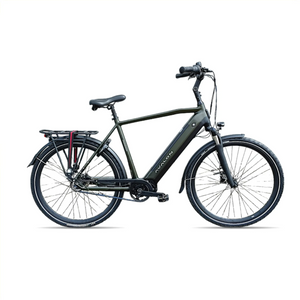 Avalon E-Pro Premium - Mosgroen/Zwart - 58cm - 15Ah Accu - AE-trading