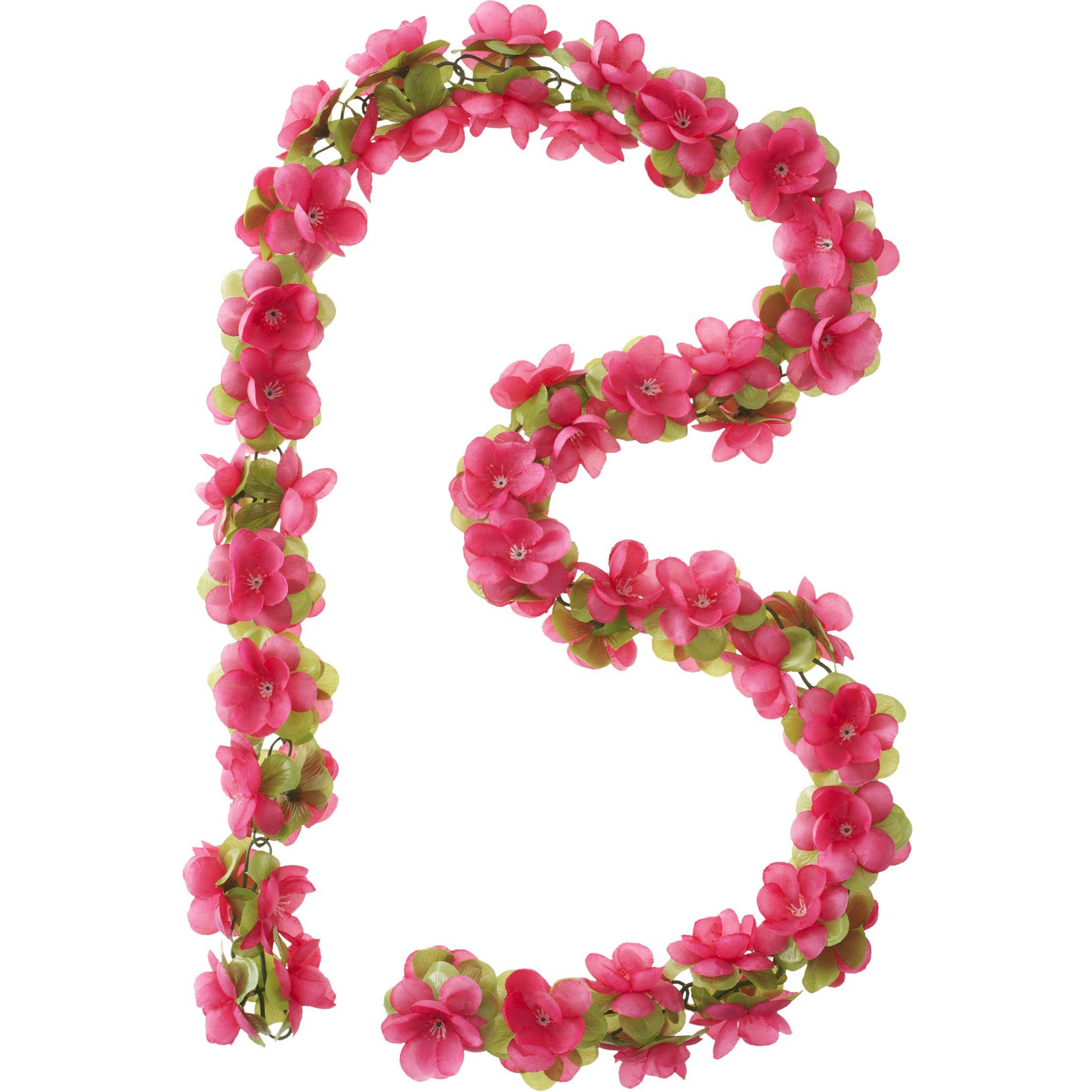 Basil bloemslinger fuchsia - AE-trading