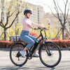 Hitway BK27 Elektrische Fiets - 28 Inch - 250W- 36V 12Ah - 7 Versnellingen - Zilver Grijs AE-trading