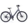 Bikkel Centro - Matt Steel - 375Wh - Dames 49cm - AE-trading