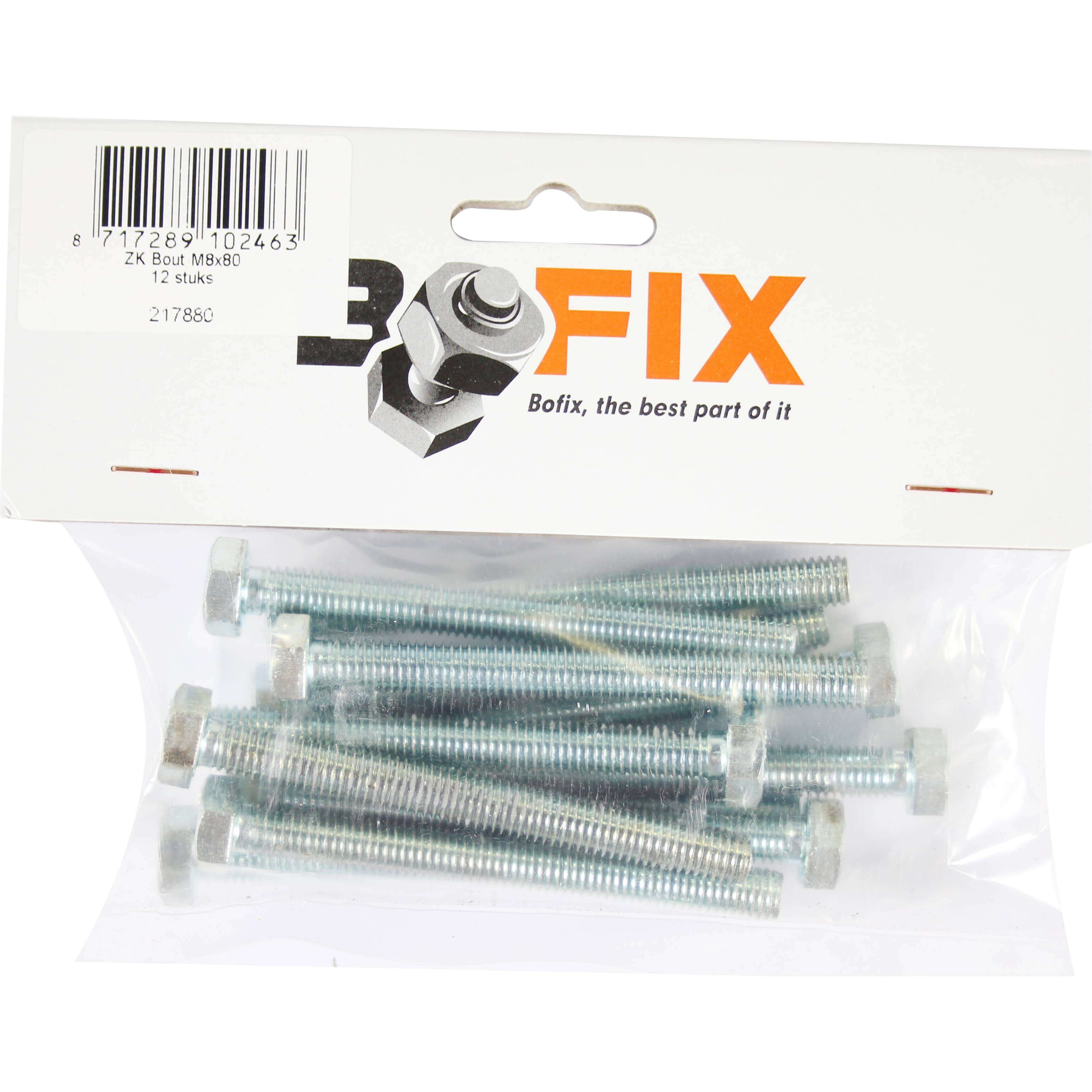 Bofix doos bout zeskante kop M8x80 (12 stuks) - AE-trading