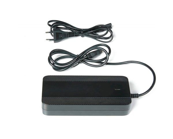 Lader 2A Sport Drive 36V - AE-trading