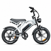 V20 Pro - Fatbike - Lichtgrijs - 2026 Model