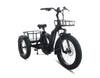 Diablo Big Foot Fatbike Driewieler Fiets E-bike Cargo - Mat zwart - Twee accu's - AE-trading