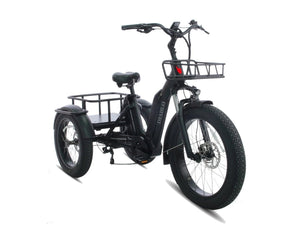 Diablo Big Foot Fatbike Driewieler Fiets E-bike Cargo - Mat zwart - Twee accu's - AE-trading