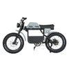 Ape Ryder Gibbon - Fatbike - Nardo Grijs - 20x4.5 inch Kenda Banden - Accu 960Wh (48V, 20Ah) - 250W Achterwielmotor - Hydraulische Remmen - AE-trading