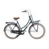 Daily Dutch Prestige N3 - 28 inch - 57 cm - Petrol Blauw - Lage Instap - AE-trading
