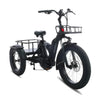 Diablo Big Foot - Fatbike Driewieler - Mat Zwart - AE-trading