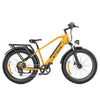 Engwe E26 - Geel High Step Elektrische Fiets E-Bike Fatbike