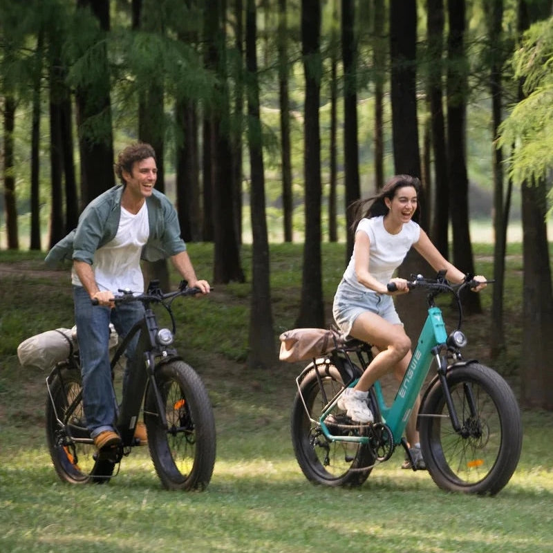 Engwe E26 - Zwart - High Step - Elektrische Fiets - E-bike - AE-trading