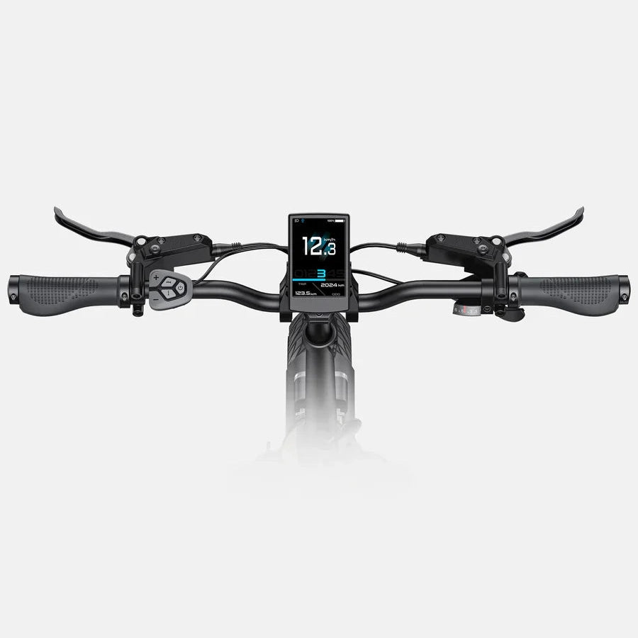 Engwe L20 3.0 Pro Fatbike Vouwfiets Elektrisch - Zwart - AE-trading