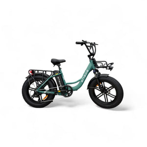 Engwe L20 Boost Fatbike Zee Groen – 250W Motor, 126 km Actieradius, 75 Nm Koppel, Shimano 7 Speed - AE-trading