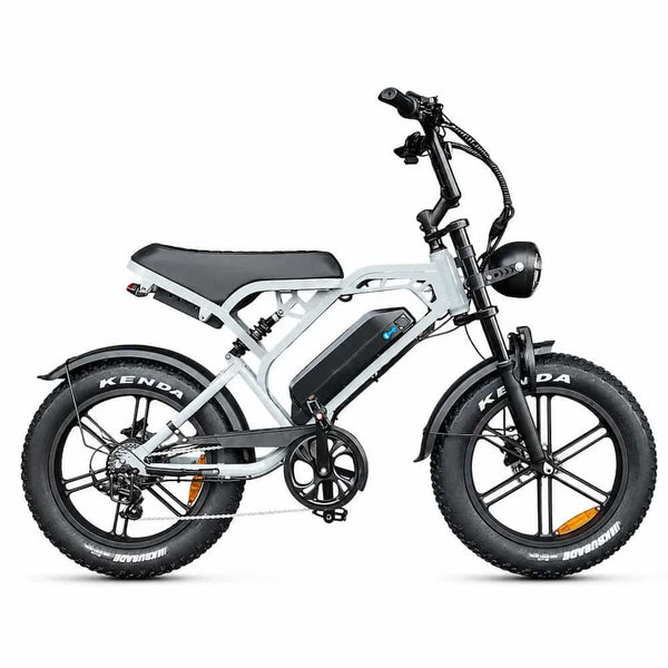 Fatbikes