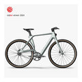 Fiido Air - Elektrische Fiets - Zilver - L - AE-trading
