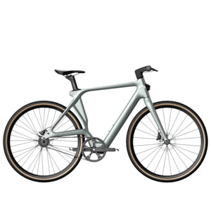 Fiido Air - Elektrische Stadsfiets - Zilver - 28 inch - L (170cm - 190cm) - Belt Drive - Accu 209Wh (36V) - 250W (35Nm) Mivice Motor - Hydraulische Remmen - AE-trading