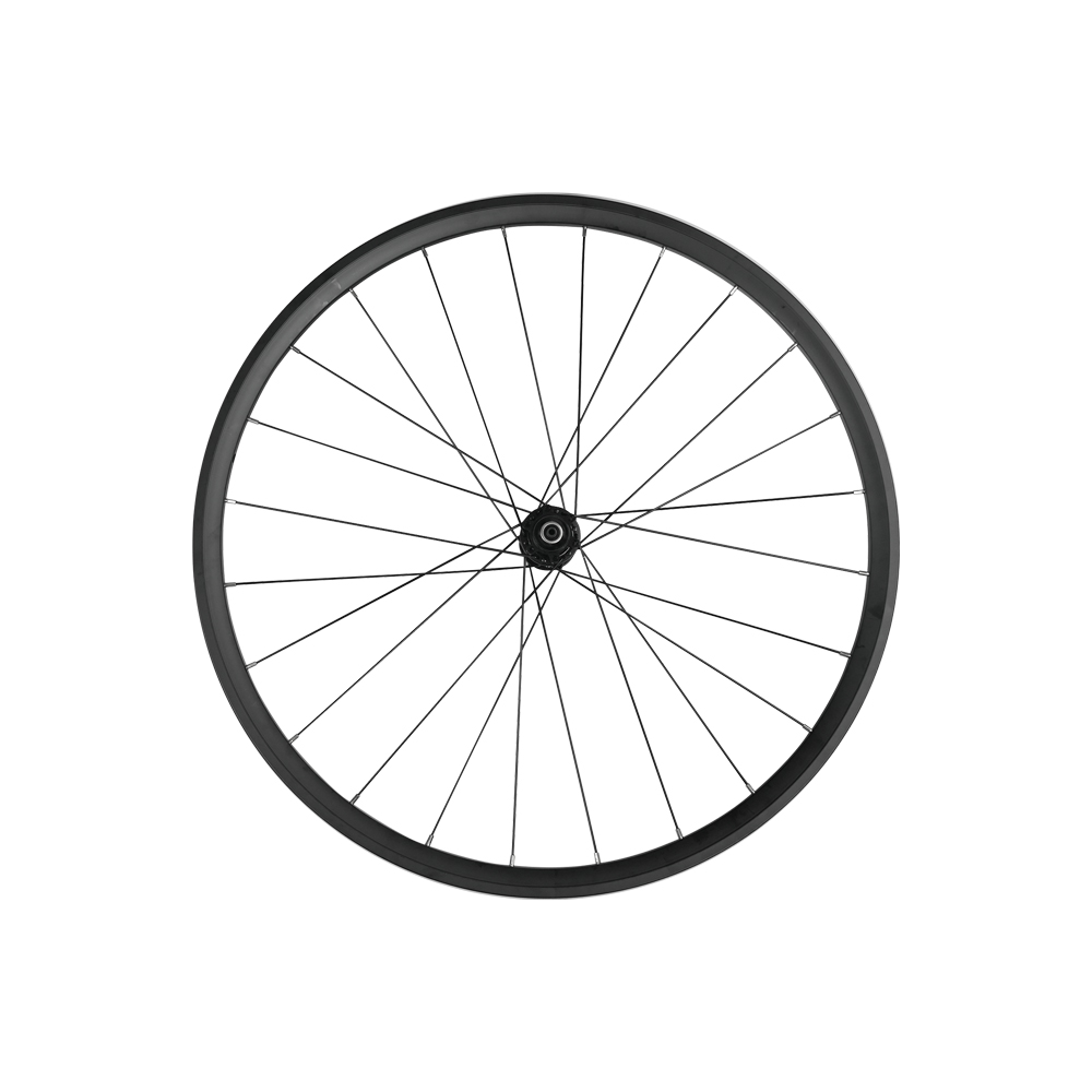 Fiido C11 Voorwiel 350W 36V Motor Wielen - Fietsonderdelen - AE-trading