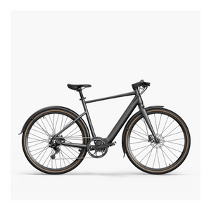 Fiido C21 - Elektrische Stadsfiets - Grijs - 28 inch - L 170cm - 195cm - Accu 209Wh 36V - 250W 40Nm Mivice Motor - 9 Versnellingen - Hydraulische Remmen