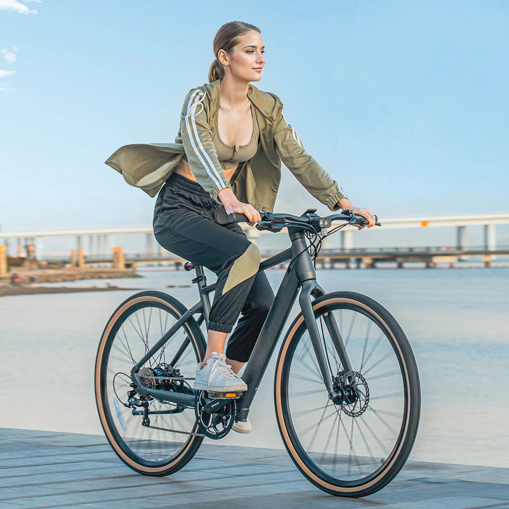 Fiido C21 - Elektrische Stadsfiets - Grijs - 28 inch - XL (190cm - 205cm) - Accu 209Wh (36V) - 250W (40Nm) Mivice Motor - 9 Versnellingen - Hydraulische Remmen - AE-trading