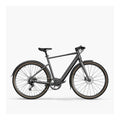 Fiido C21 - Elektrische Fiets - Grijs - L - AE-trading