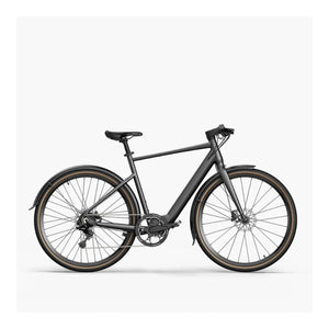 Fiido C21 - Elektrische Stadsfiets - Grijs - 28 inch - L (170cm - 195cm) - Accu 209Wh (36V) - 250W (40Nm) Mivice Motor - 9 Versnellingen - Hydraulische Remmen - AE-trading