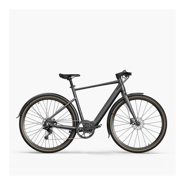 Fiido C21 - Elektrische Fiets - Grijs - L - AE-trading