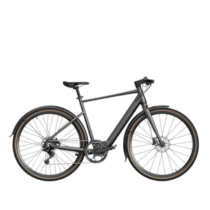 Fiido C21 - Elektrische Stadsfiets - Grijs - 28 inch - L (170cm - 195cm) - Accu 209Wh (36V) - 250W (40Nm) Mivice Motor - 9 Versnellingen - Hydraulische Remmen - AE-trading