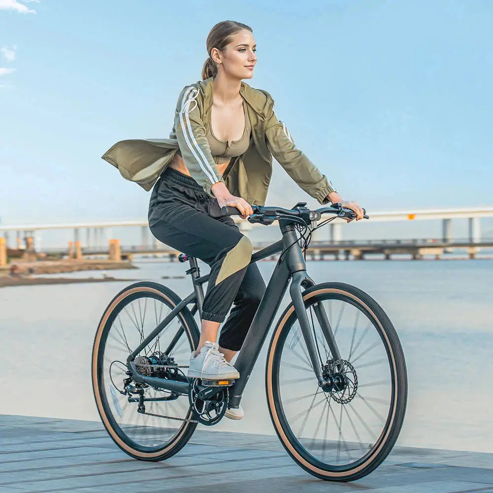 Fiido C21 - Elektrische Fiets - Grijs - L - AE-trading