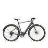 Fiido C21 - Elektrische Stadsfiets - Grijs - 28 inch - M (160cm - 175cm) - Accu 209Wh (36V) - 250W (40Nm) Mivice Motor - 9 Versnellingen - Hydraulische Remmen - AE-trading