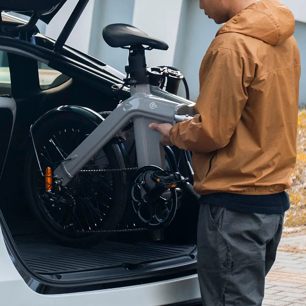 Fiido D11 2025 - Elektrische Vouwfiets - Lichtgrijs - 20 inch - Accu 417.6Wh (36V) - 250W (32Nm) Motor - Shimano 7 Versnellingen - Hydraulische Remmen - AE-trading