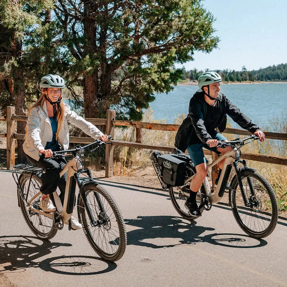 Fiido Nomads Elektrische Fiets - Lichtgrijs - Enkele Accu - Framemaat M - AE-trading