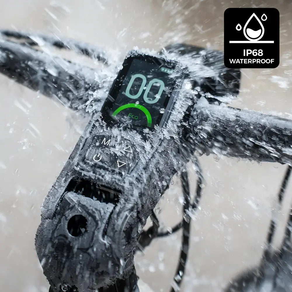 Fiido Nomads Elektrische Fiets - Lichtgrijs - Enkele Accu - Framemaat M - AE-trading