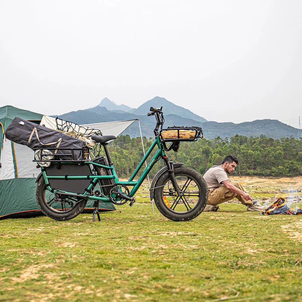 Fiido T2 2025 - Elektrische Longtail Bakfiets - Bosgroen - AE-trading