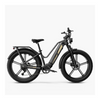 Fiido Titan - Elektrische Touringfiets - Grijs - 26x4 inch - Accu 696Wh 48V - 250W 55Nm Mivice Motor - 9 Versnellingen - Hydraulische Remmen